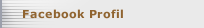 Facebook Profil 
